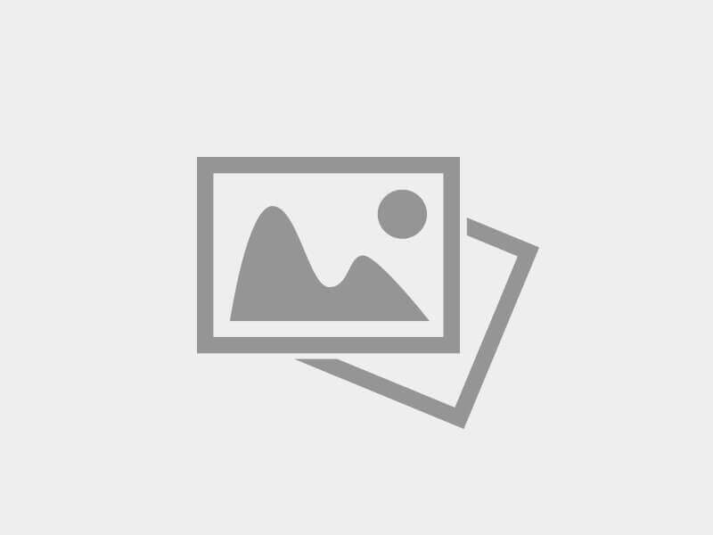 О проекте